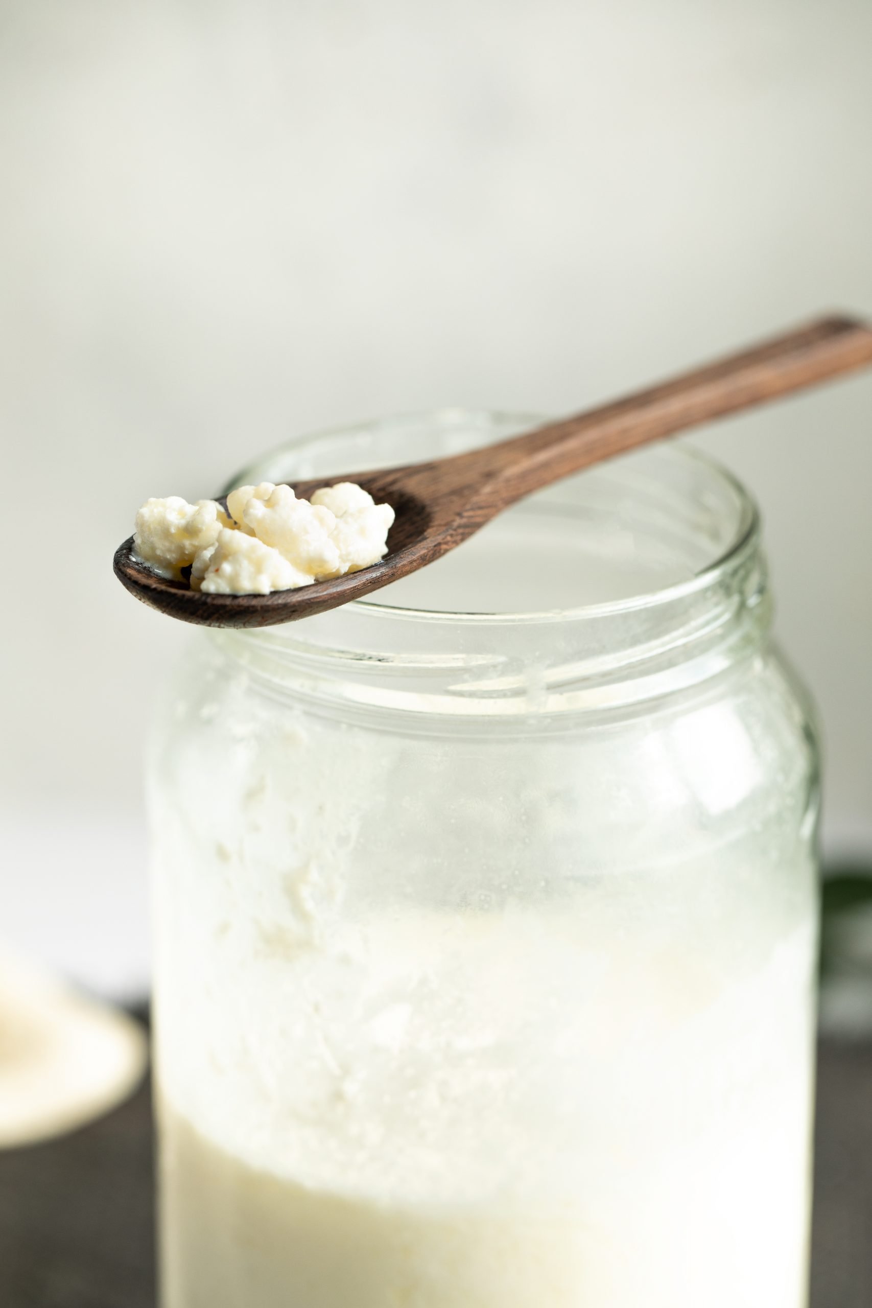 Kerry Kefir Grains contain bacteria and yeast hat may be probiotic in nature.