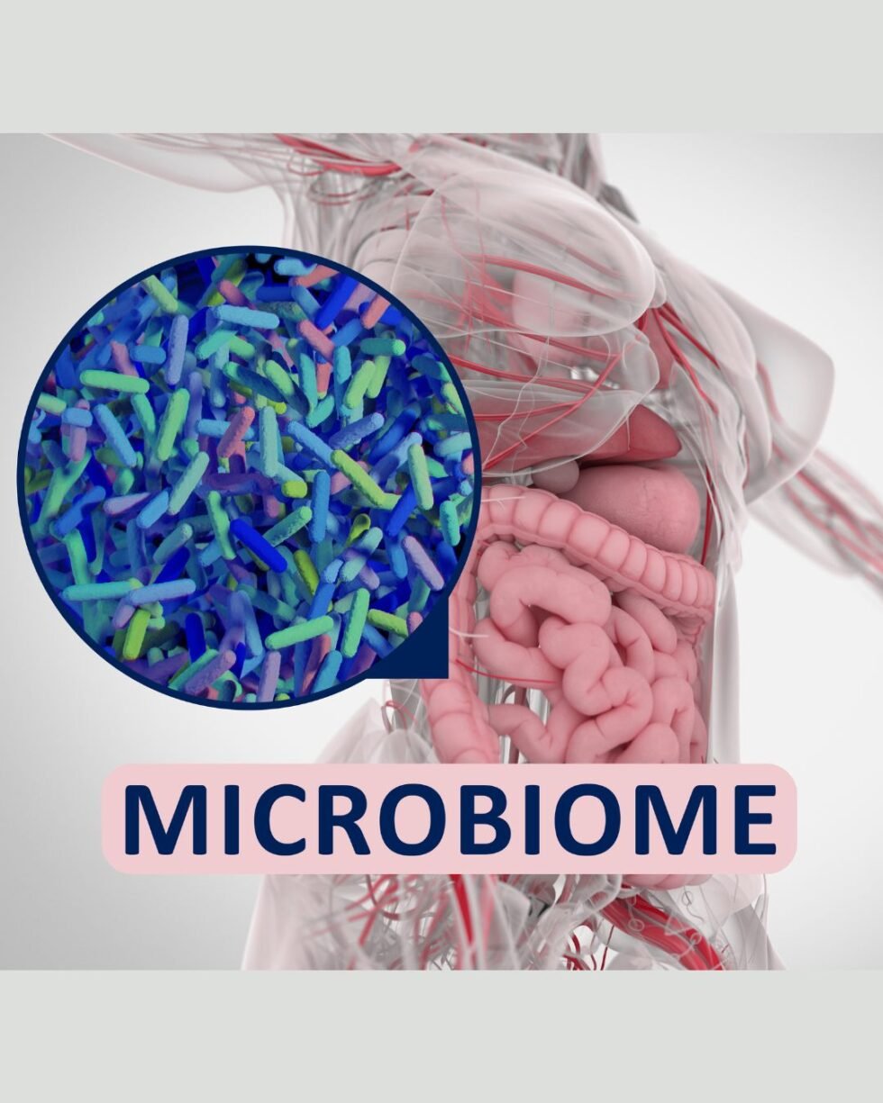 Understanding the Gut Microbiome and Its Impact on Health